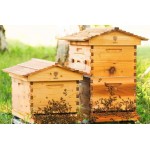 Вулики та комплектуючі